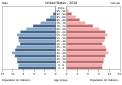 US population pyramid (2018).jpg